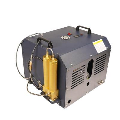 China Long Life High Pressure GP 4500psi 300bar Pcp Air Compressor With Double Filter for sale