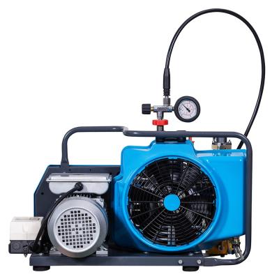 China 100LPM 4500psi compressor lubricated high pressure electric diving air compressor for resale for sale