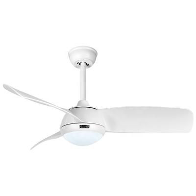 China Modern Blade Ceiling Fan Remote Control Indoor Abs Led Light Ceiling Fans for sale