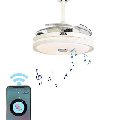 Cina 2021 designer ac motor sound decoration remote control led ceiling fan with light in vendita