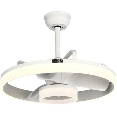 中国 24 In Dimmable Noiseless Ceiling Fan Remote Control Modern Blades Reversible Motor 6 Speed Timer 販売のため