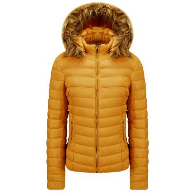 China Waterproof Drop Shipping 2021 Oversized Padded Stripper Ladies Winter Jackets Women Coats for sale