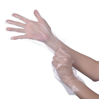 China Blue Disposable Food Service Gloves Wholesale CPE Gloves Food Disposable Cpe Gloves for sale