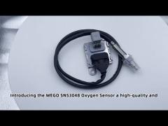 5WK96694C 12V Nitrogen Oxide NOX Sensor Fits For Euro Truck  OEM 2296800