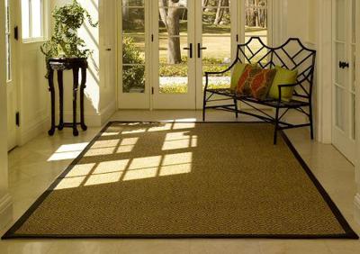 China New Design Eco-Friendly 100% Sisal Rug For Indoor And Outdoor for sale