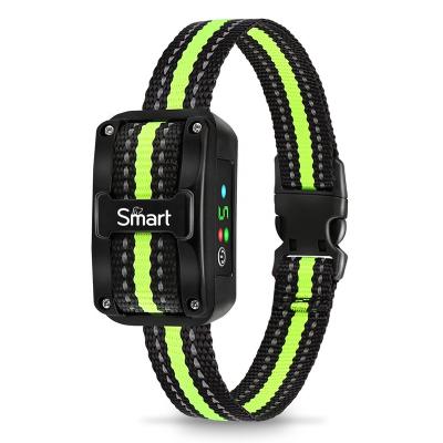 China 2022 Dogs Upgraded Anti Bark Rechargeable No Bark Collar Control Dog Shock Collar Without Outdoor for sale