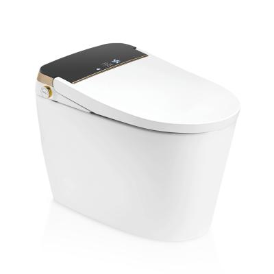 China Concealed Cistern High Quality Ceramic Intelligent Smart Toilet With Concealed Plastic Water Tank for sale