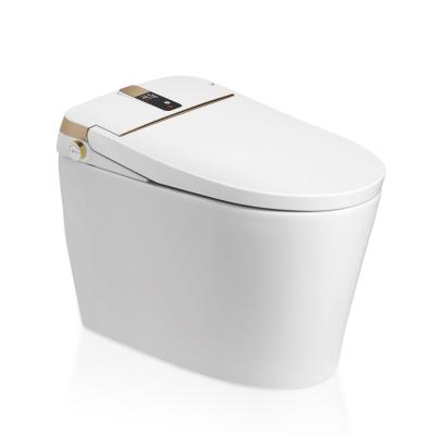 China Hidden Luxury White Cistern Siphon Spray Flush Automatic Floor Standing Smart Toilet for sale