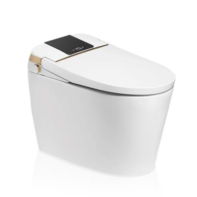 China Hidden Tank Remote Control Ceramic Automatic Toilet With Hidden Water Tank for sale