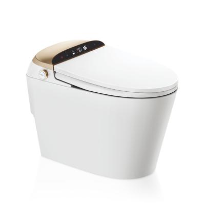 China Modern American Modern Automatic One Piece Flush Smart Toilet With Magic Button for sale