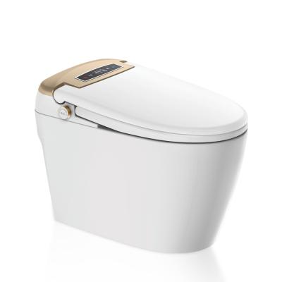 China Space Saver New Modern Design Auto Cleaning Smart Toilet With Stainless Spout for sale