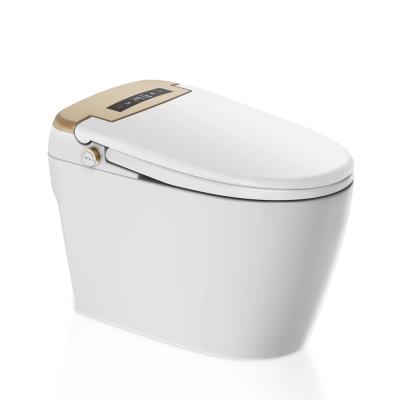 China 110V / 220V Modern Hidden Smart Tank Full Automatic Sensitive Electric Toilet for sale