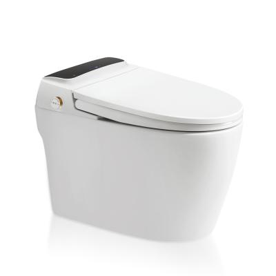 China Concealed Tank White One Piece Heated Water Automatic Flush Water Intelligent Toilet With Water Tank for sale