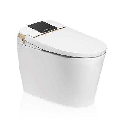 China High Quality Ceramic Hidden Cistern Aodi Automatic Smart Toilet With Concealed Water Tank for sale