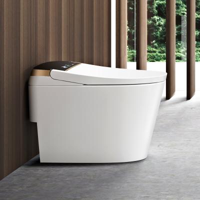 China Modern Concealed Cistern Aodi Brand Smart Smart Toilet With Concealed Water Tank for sale