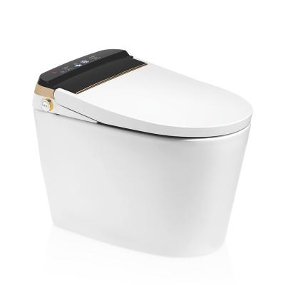 China New Design Hidden Water Tank White One Piece Ceramic Hidden Smart Toilet for sale