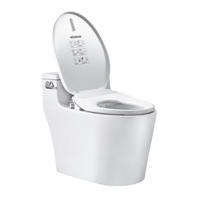 China Slow-end Toilet Seats Home Plastic Female Intelligent Heating Bidet Smart Toilet Seat With Temperature for sale