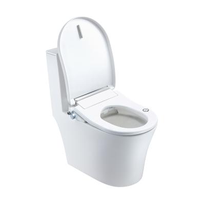 China Electronic Heating Electronic Female Bidet Smart Smart Intelligent Toilet Seat With Temperature for sale