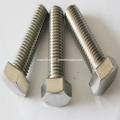 China Titan Titanium metal screws ,full thread,M20 x 100 mm  Hexagon socket Screw Fastener for sale