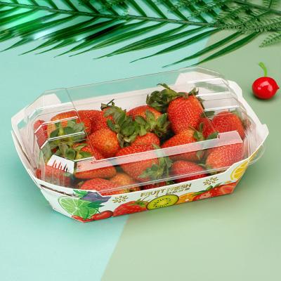 China Toowin Packing Environmentally Friendly Packaging Box for Fresh Fruit Custom Print for sale