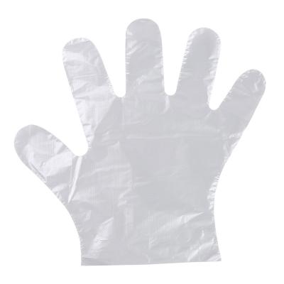 China PE Disposable Gloves Cleaning Plastic Gloves for sale