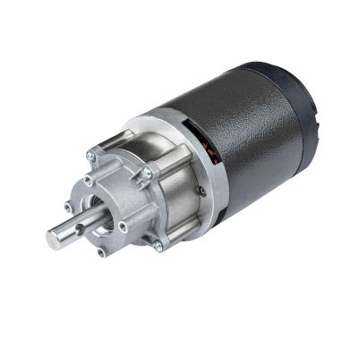 China Totally Enclosed DC Geared Motor Factory Price 220V Slow Juicer Motor for sale