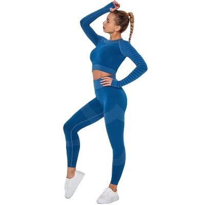 China Breathable Yoga Wear Set Hot Sale 2021 Seamless Yoga Set Nylon Spandex Long Sleeves Fits 2 Piece Yoga Set for sale