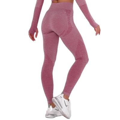 China Hot Selling Active Gym Ladies Wear Yoga Wear Summer Breathable Sportswear Leggings 1 Piece for sale