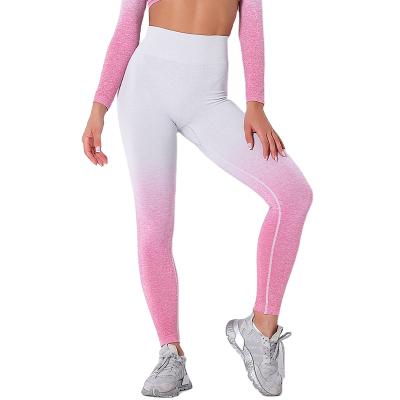 China Breathable Yoga Sports Wear Sweat Absorption Long Pants Woman Yoga Sports Wear Seamless Women Sports Yoga Wear for sale