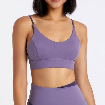 China Breathable Gym Bra Women Fitness Sports Bra Color Block Color Block Upper Chest Protection for sale