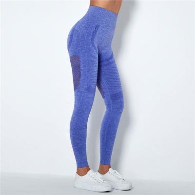 China Breathable High Quality Nylon Spandex Yoga Gaiters for sale