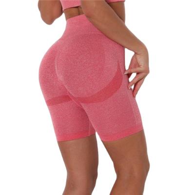 China Wholesale Breathable High Waist Women Summer Training Cycling Sports Shorts Pants Yoga Shorts For Ladies for sale