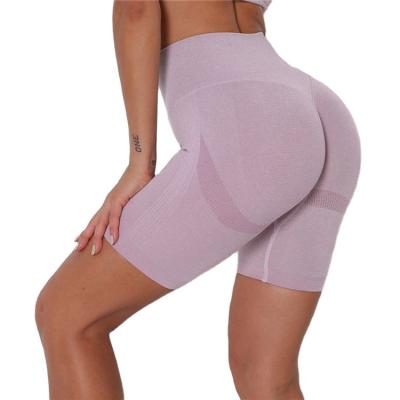 China New Arrivals Breathable Summer Cotton Ribbed Beach Shorts Yoga Running Gym Short Sets For Woman for sale