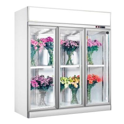 China Commercial Tempered Glass PVC/Aluminum Profile Unheated Refrigerator Glass Pane 2 Door for sale