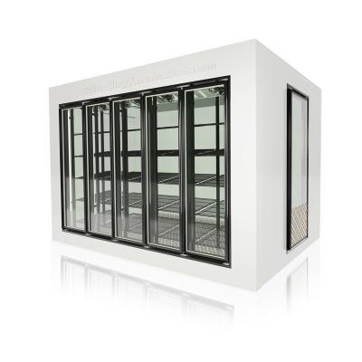 China Restaurant cold room/freezer storage and warehousing, commercial display glass door for sale