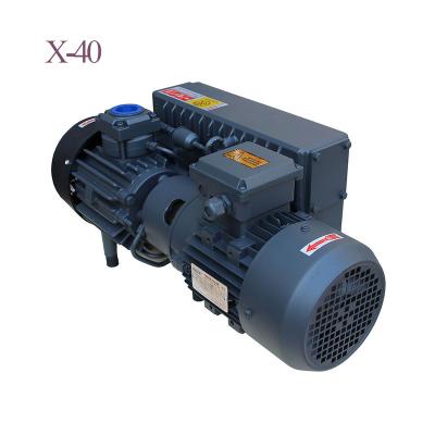 China Other Hot Sale X-40 220v/380v Single Stage Oil-Shaped Rotary Vane Vacuum Pump for sale