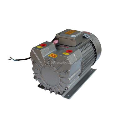 China Hot Oilless Rotary Vane Dry Pump 200/240V 0.55KW V16 Single Stage Automotive Industry Sales Environmental Protection And Low Noise for sale