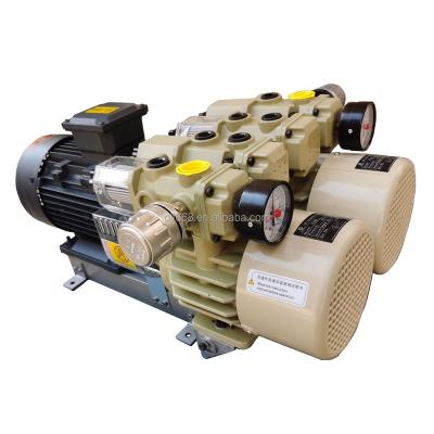 China Automotive Industry Vacuum Pump FH80 Oil Free Rotary Vacuum Pump Dry Compound Vane Vacuum Pump for sale