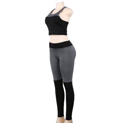 Cina Breathable 2PCS Yoga Wear Women's Fitness Sports Bra Pants Suit Panel Yoga Set in vendita