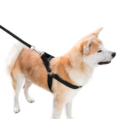 China Hot-selling Viable Three-Piece Dog Bold P-Chain Buckle Dog Leash Multifunctional Three-Piece Leash for sale