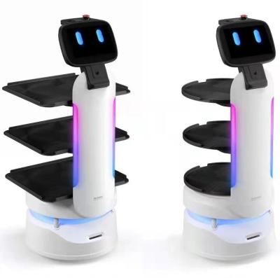 China Delivery restaurant hotel cafe talking and walking robot good quality best price for sale