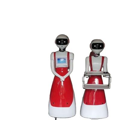 China Vector robot domestic robot restaurant good quality best price human shape for sale