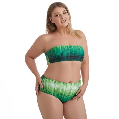 China Wholesale Breathable Europe and America Plus Size Women's Gradient Green Bikini 2 Piece Suit Swimwear Swimwear Beach Wear for sale