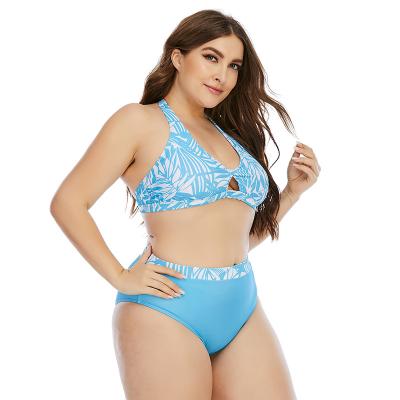 China 2022 Breathable Women Plus Size Swimwear Gathering Bikini Cutout Bikini XXL XXXL Beach Wear Two Pcs Sexy Suit for sale