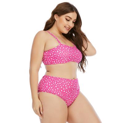 China Breathable Europe and America 2022 women plus size swimwear colorful five star print gather cutout bikini XXL XXXL swimsuit for sale