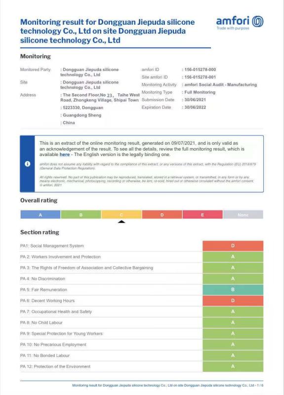 BSCI - Dongguan Jiepuda Silicone Technology Co., Ltd.