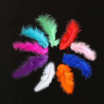 China Party Decoration Balloon Accessories Transparent Balloon Decoration Colorful Bubble Balloon Filling Feather For Party Supplies for sale