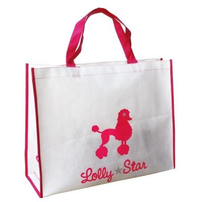 China Shopping bag experienced manufacturer eco-friendly screen printing pp silk non woven bag for sale