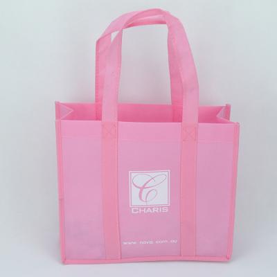 China Shopping Bag Excellent Quality Silk Screen Printing 100% PP Nonwoven Bags for sale