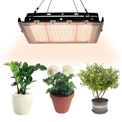 China New Eco-friendly Design 300w Full Spectrum Grow Plants Veg Indoor Outdoor Fruits 380-840nm IP65 Led Grow Lights for sale